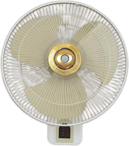 Bracket Fan